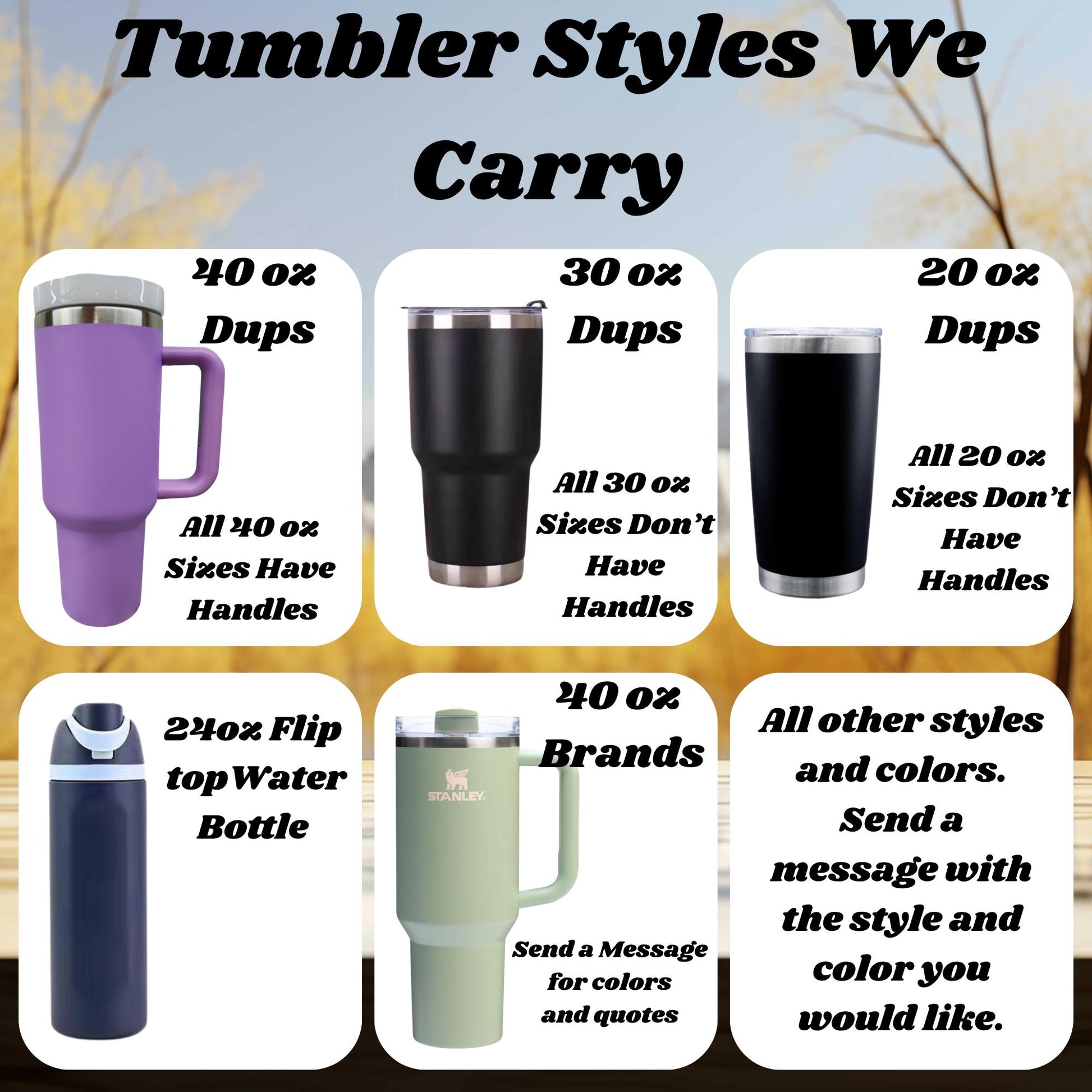 TUMBLER STYLES WE CARRY